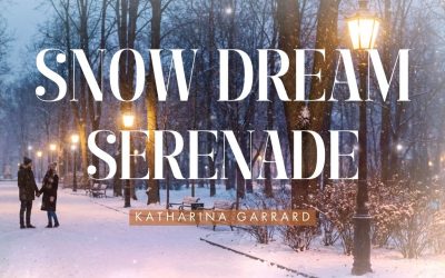 Snow Dream Serenade-new Single-Winter Dream Song