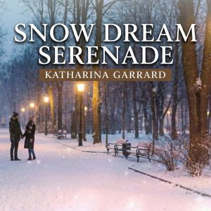 Wintersong-emotional Violin Song